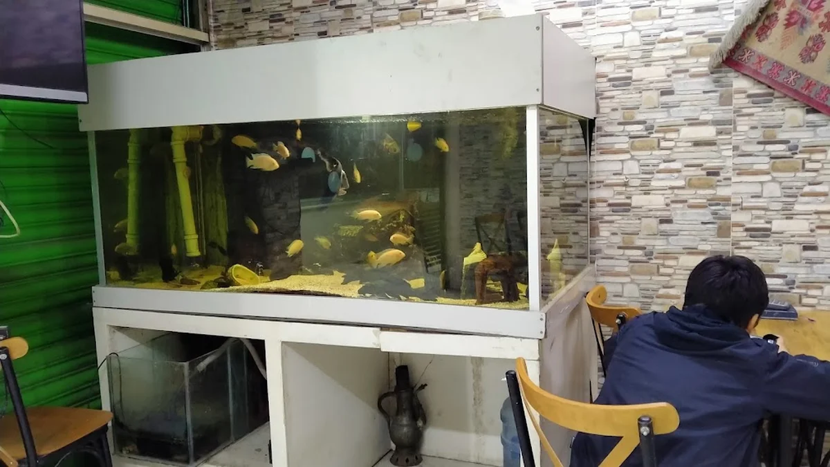 Yöreler Pide Lahmacun Pizza Salonu - Görsel 5