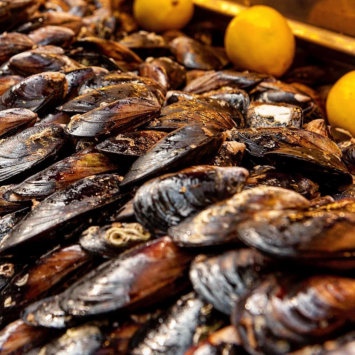 Gala Kokoreç Güvercintepe - Görsel 8