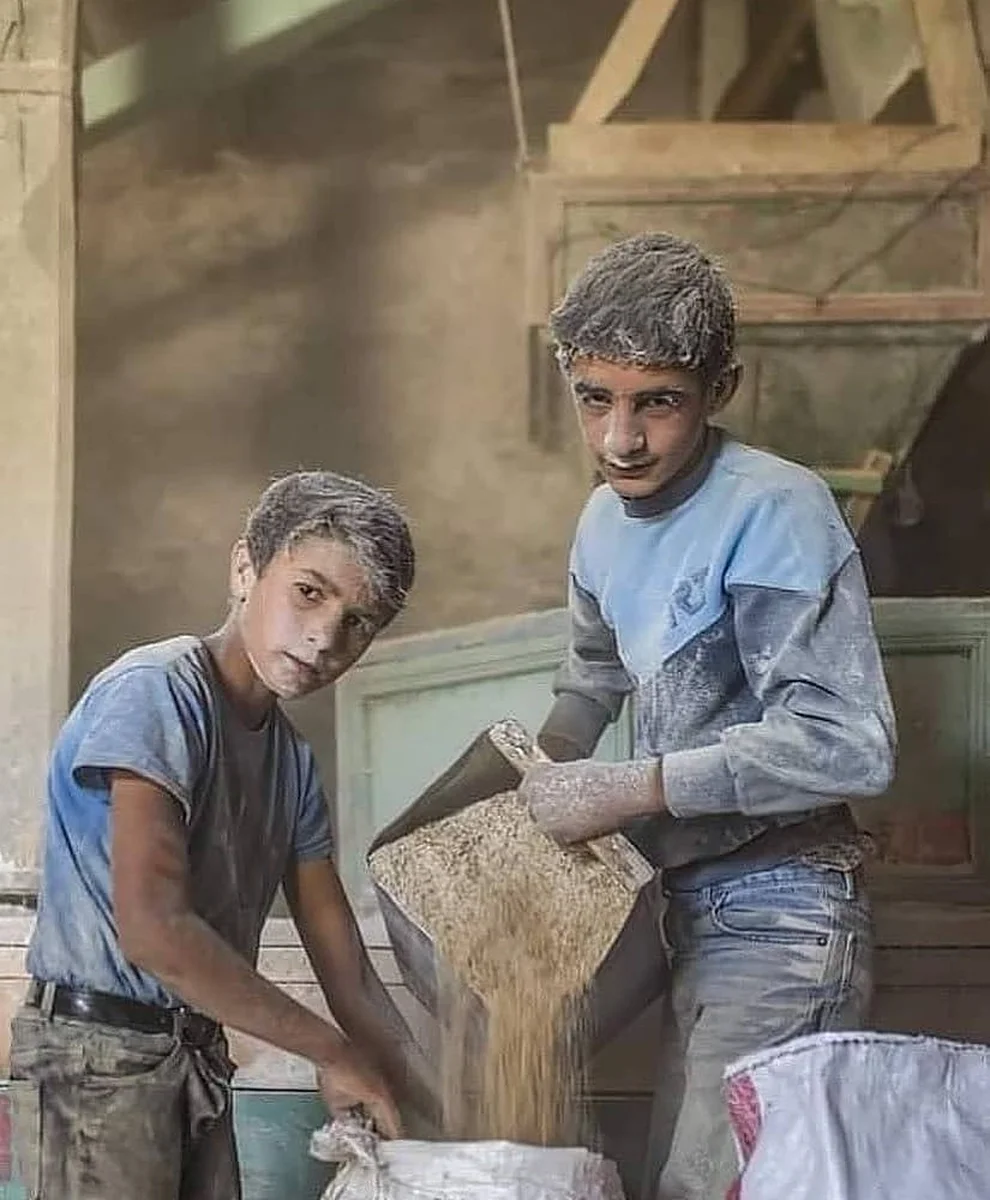 AlptekinlerYufka Ve Kadayıf ve erişte imalatı ve satışı - Görsel 1