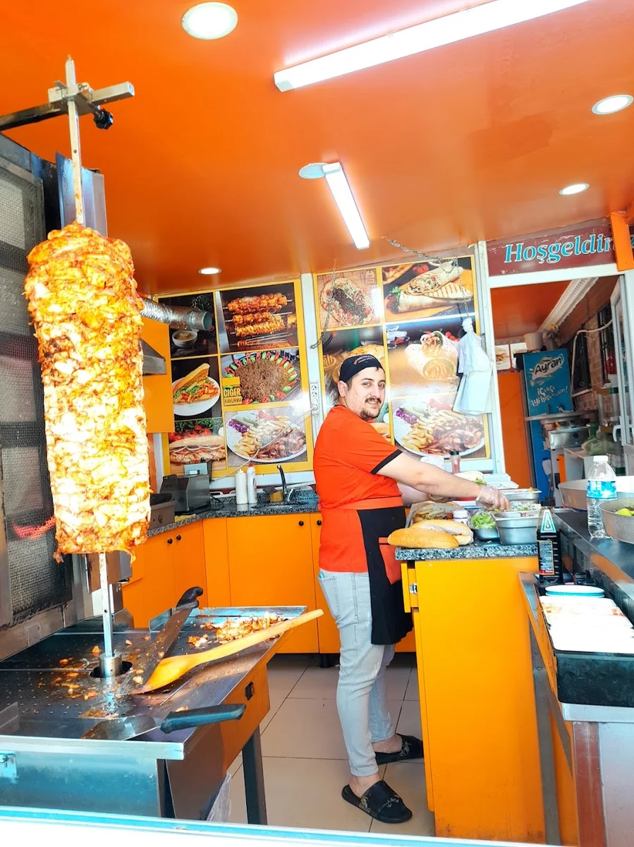 SATIR DÖNER PİLİÇ ÇEVİRME - Görsel 6