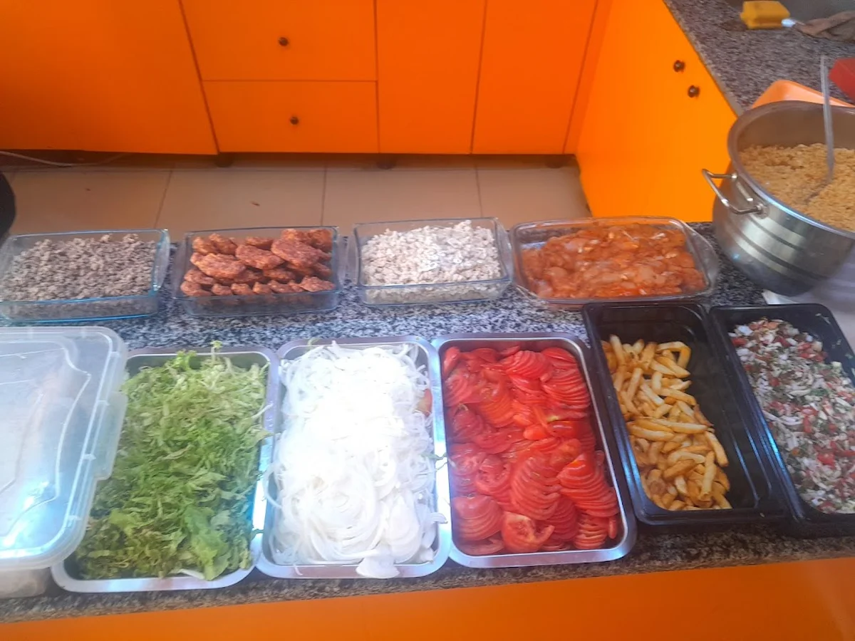 SATIR DÖNER PİLİÇ ÇEVİRME - Görsel 7