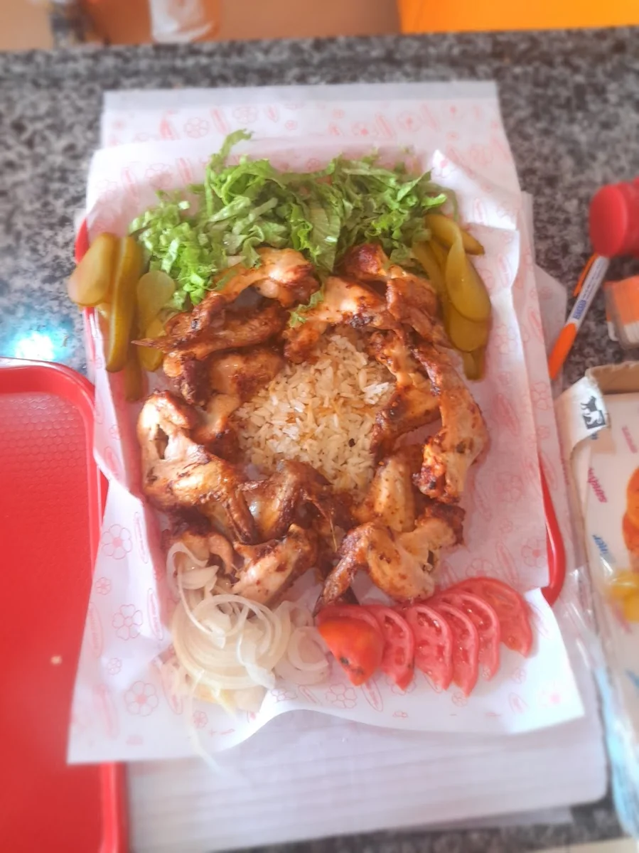 SATIR DÖNER PİLİÇ ÇEVİRME - Görsel 9