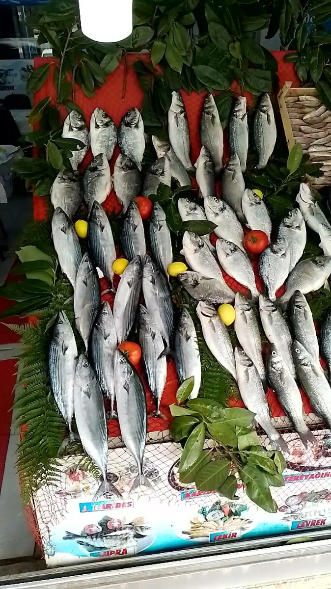 Çayırlı balık Başakşehir-Kayaşehir - Görsel 2