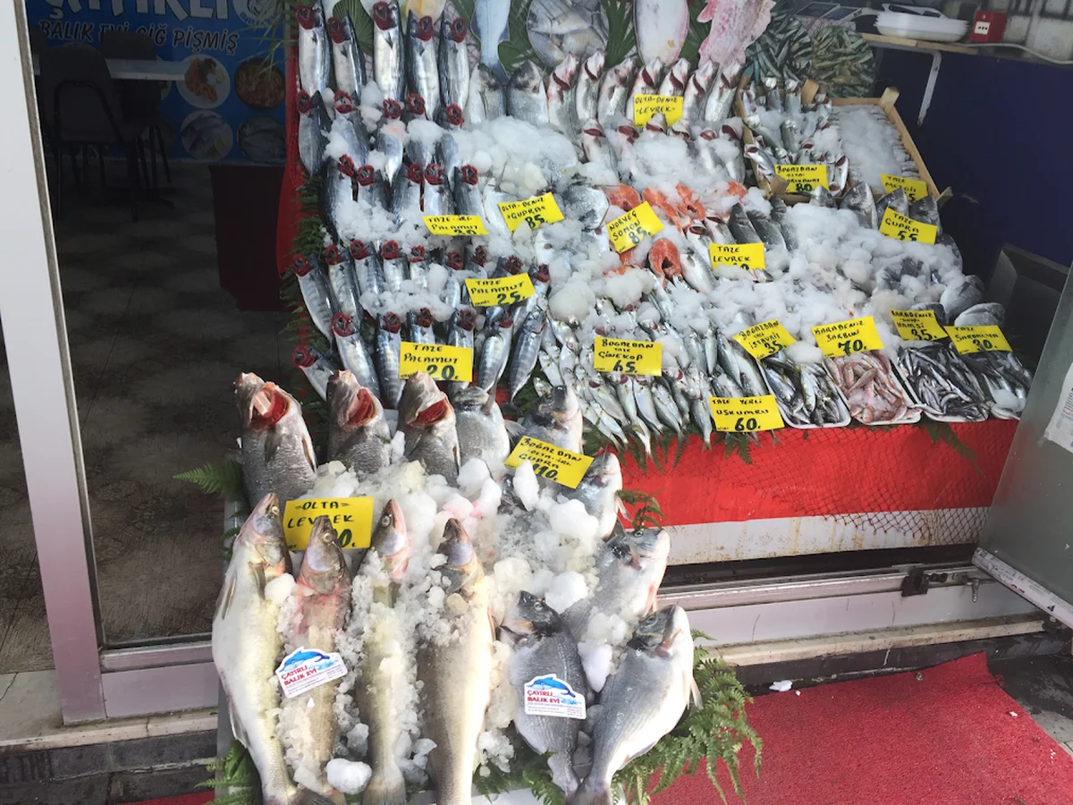 Çayırlı balık Başakşehir-Kayaşehir - Görsel 4