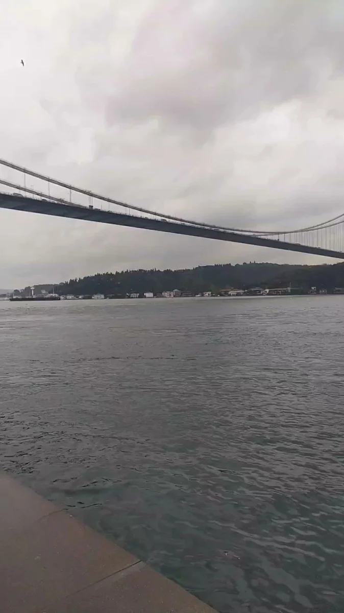 أسماك الفسفور - Görsel 1