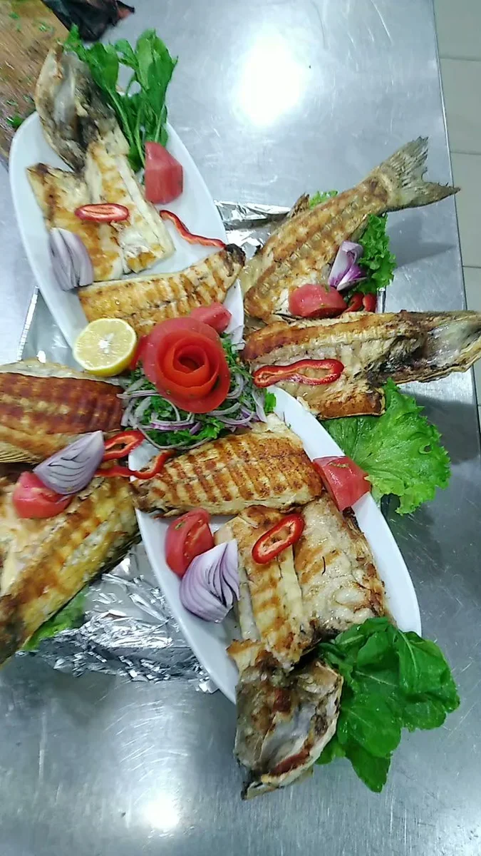 Gelibolu Balıkçısı - Görsel 1