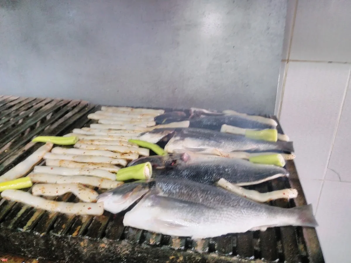 Gelibolu Balıkçısı - Görsel 2