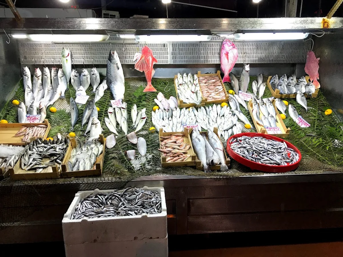 Gelibolu Balıkçısı - Görsel 3