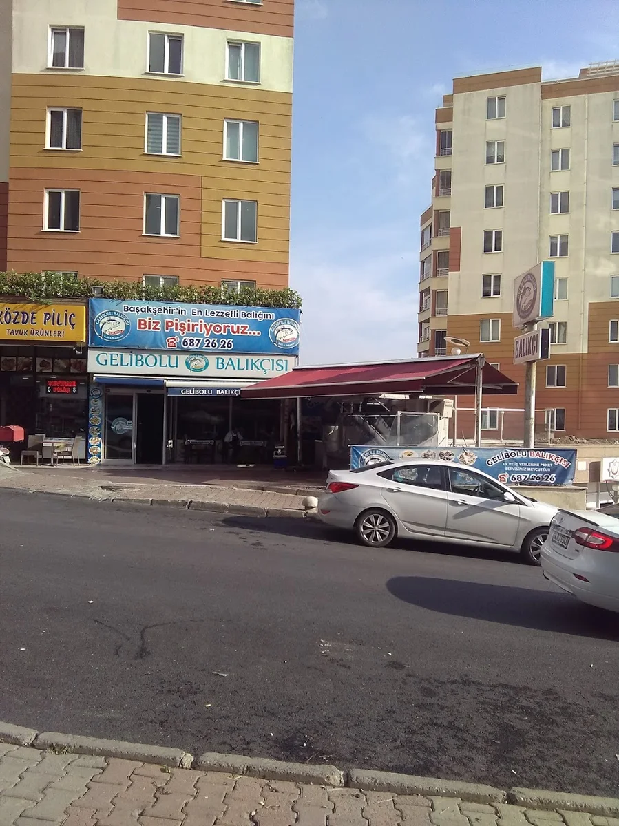 Gelibolu Balıkçısı - Görsel 7