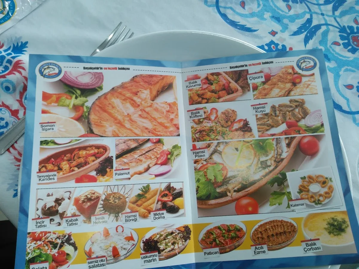 Gelibolu Balıkçısı - Görsel 9