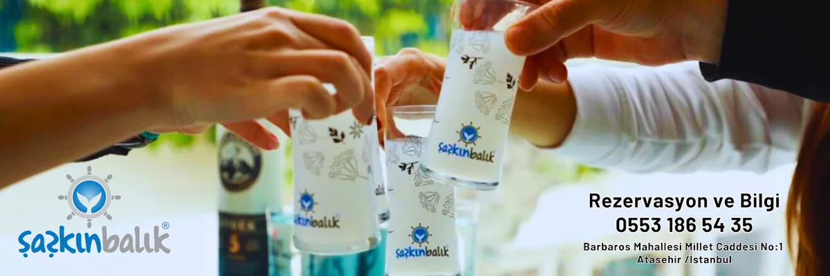 Şaşkın Balık Ataşehir - Görsel 1