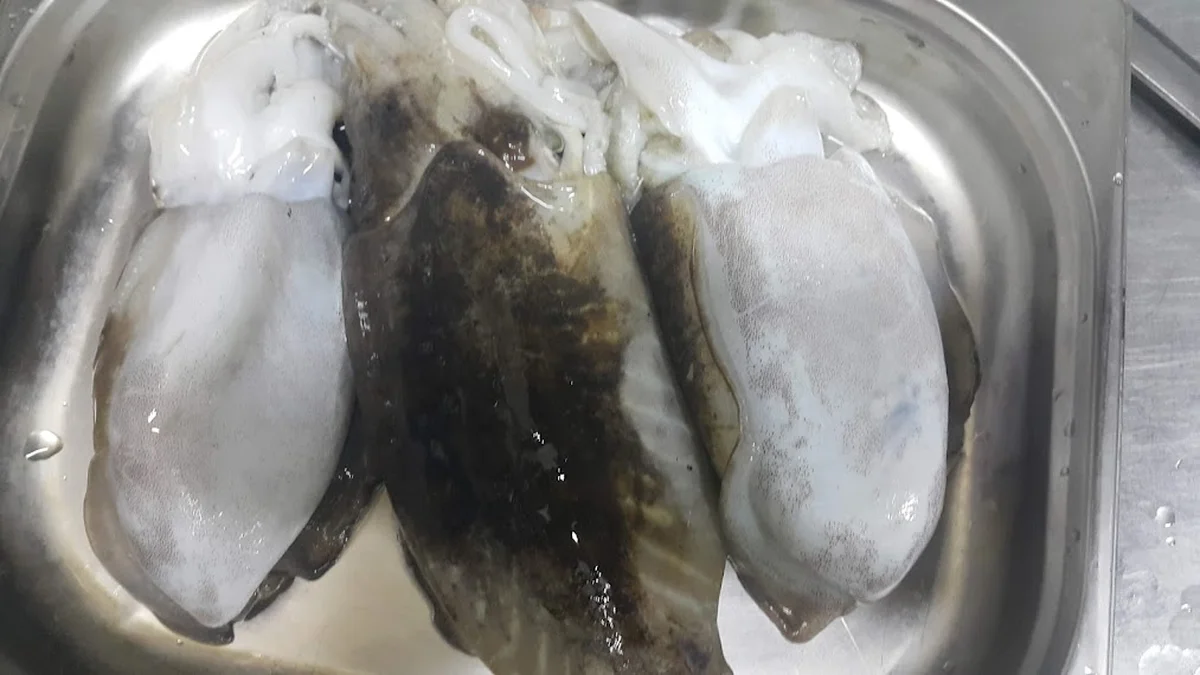 Karaca Balık Evi - Görsel 7