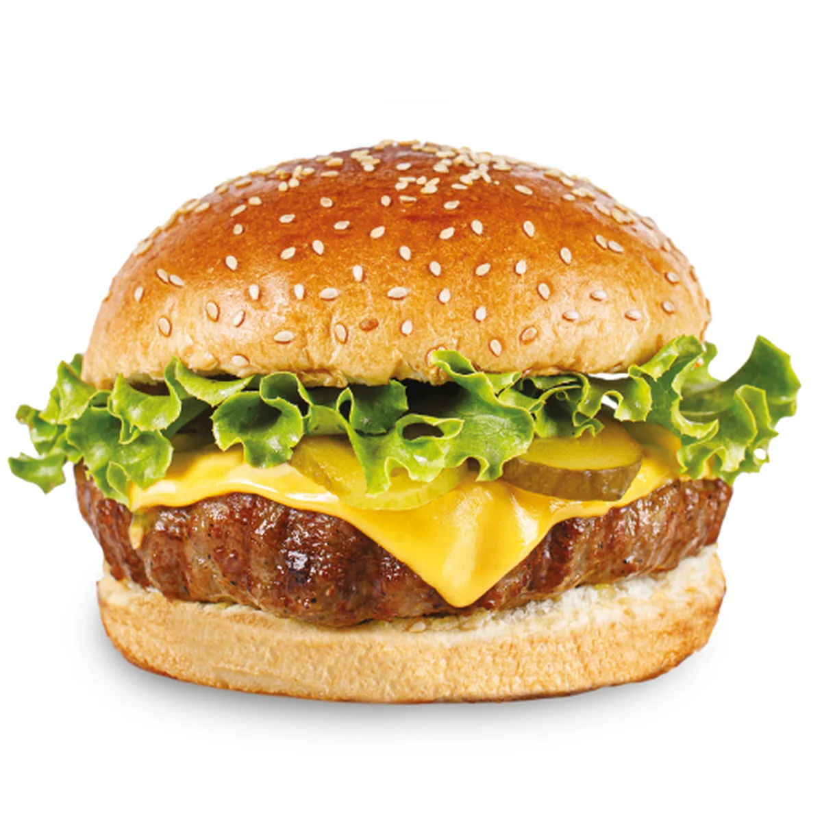 Ercan Burger - Görsel 4