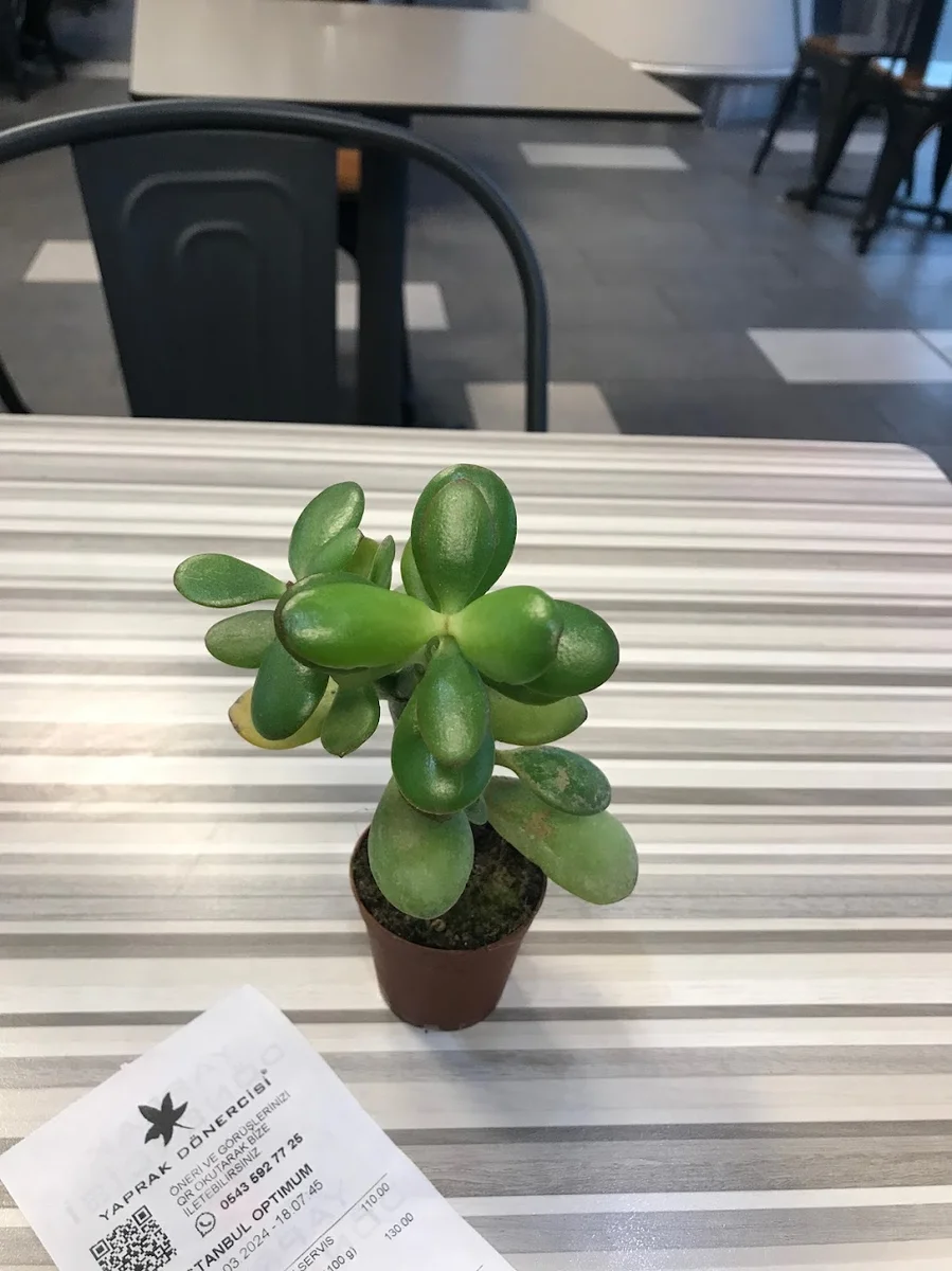 Yaprak Dönercisi Optimum Avm Ataşehir - Görsel 5