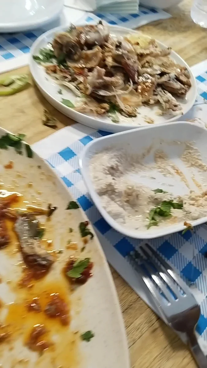 أسماك البحر - Görsel 1