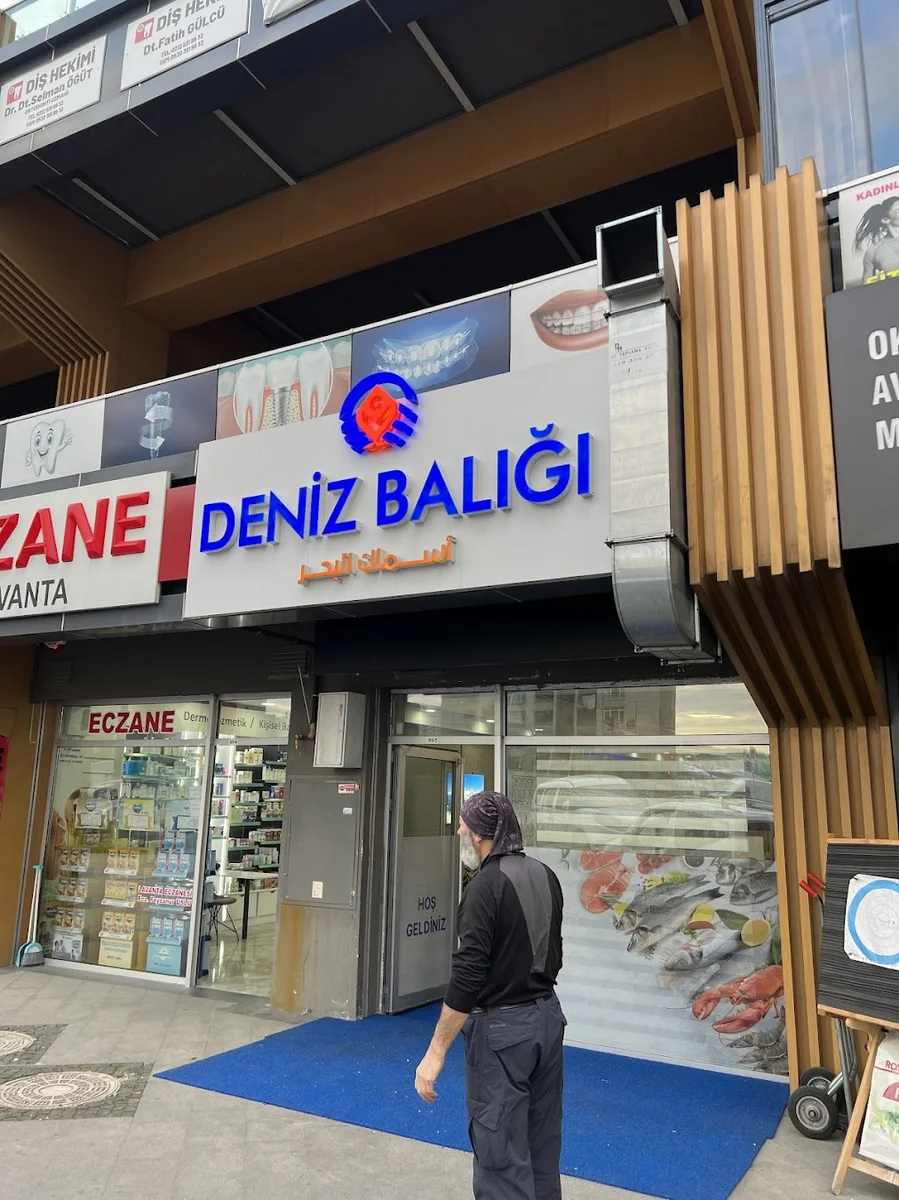 أسماك البحر - Görsel 7