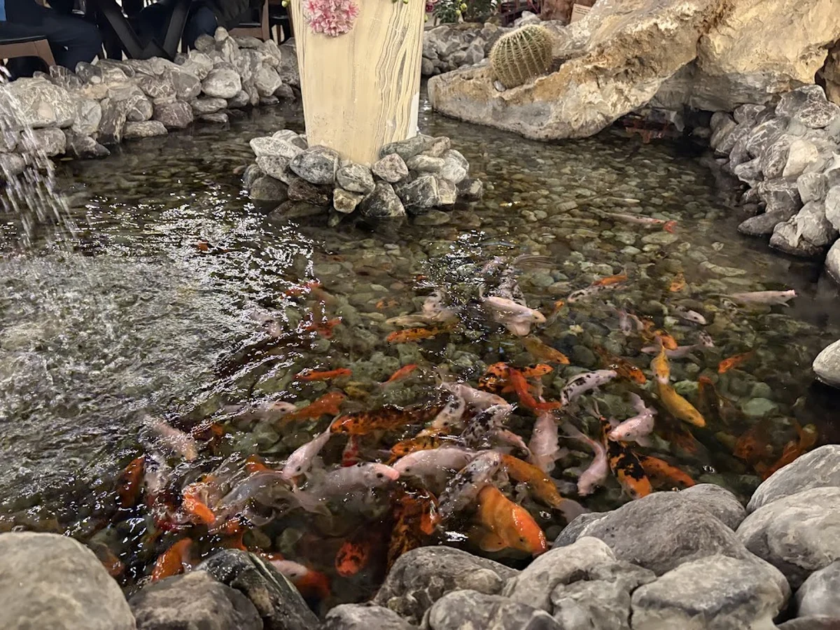 Ercan Steakhouse - Görsel 8