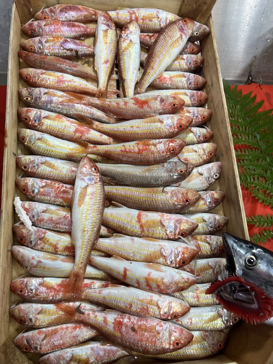 BAŞAK BALIK Kayaşehir مطعم سمك - Görsel 4