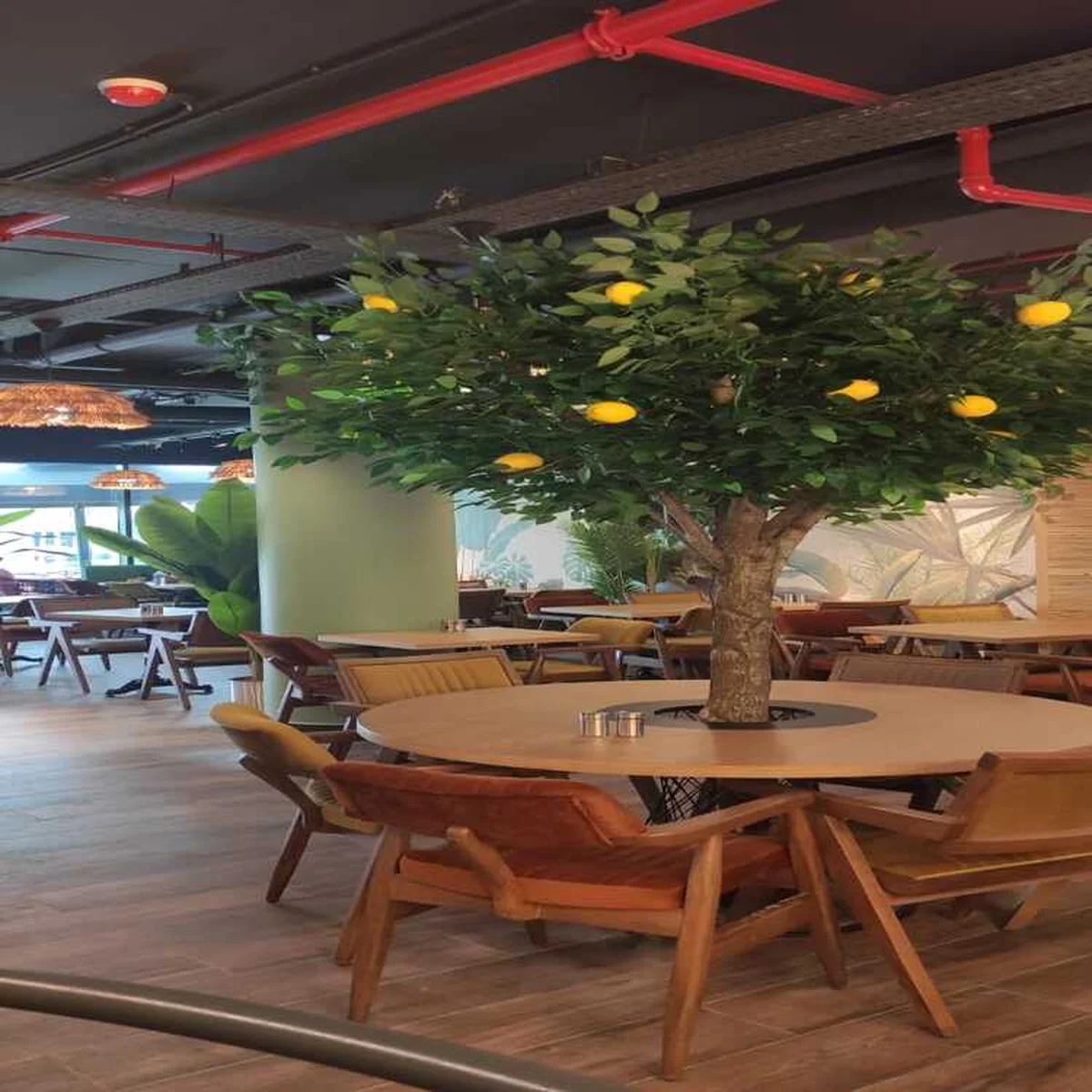 Midyeci Ahmet Başakşehir (Millet Bahçesi) - Görsel 3