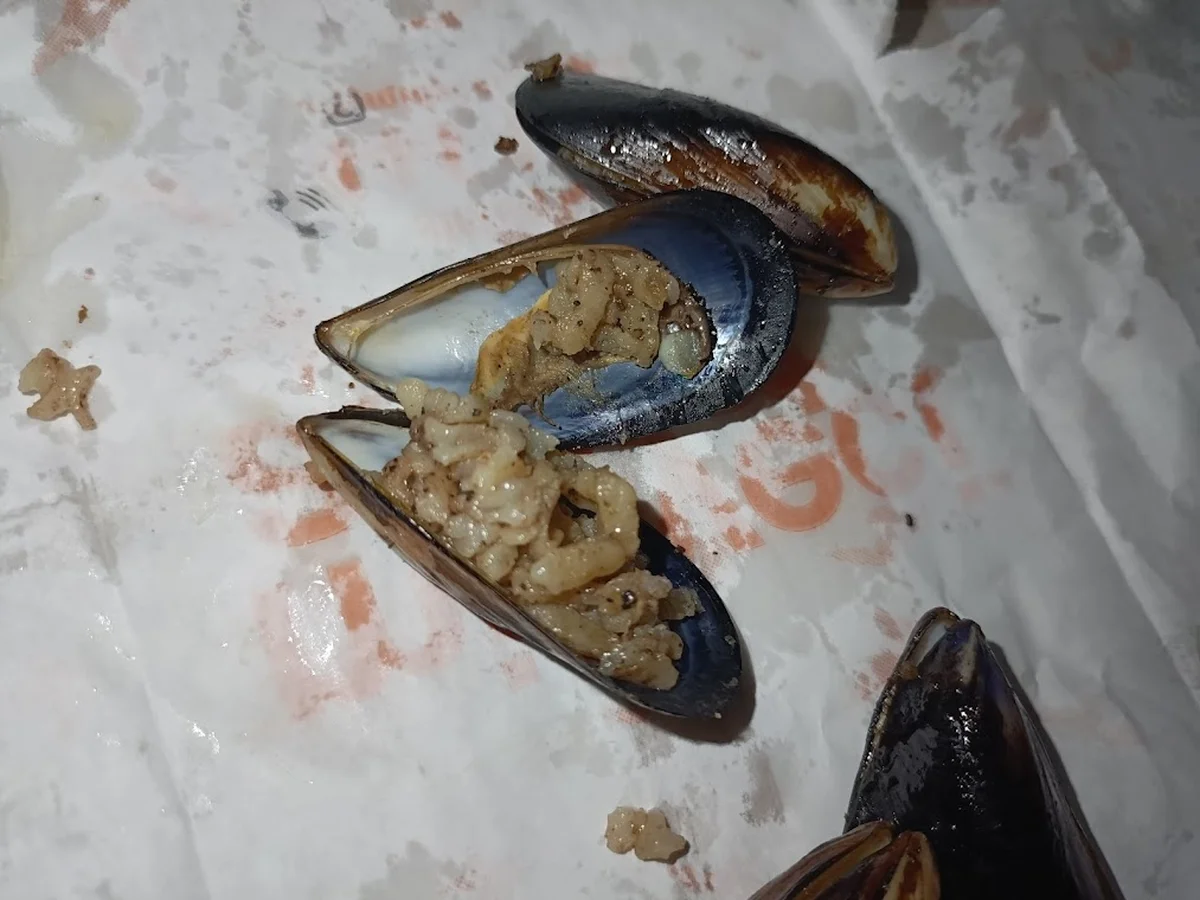 Midyeci Ahmet Başakşehir (Millet Bahçesi) - Görsel 5