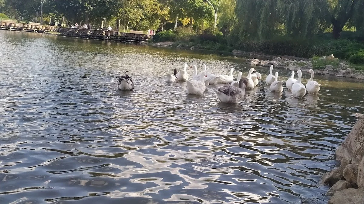 PizzaLazza Kayaşehir - Görsel 5