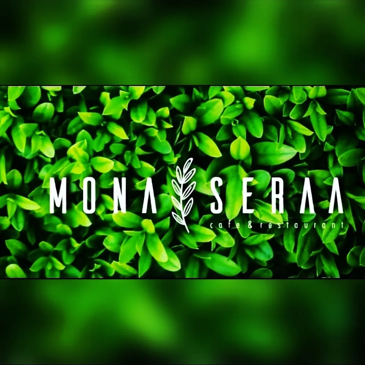 Mona Seraa Başakşehir - Görsel 3