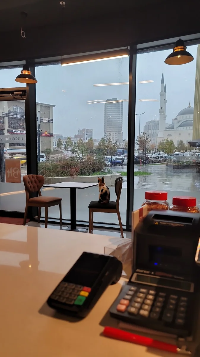 بدري و هنية للبن والبهارات تركيا Badri & Hania Turkey - Görsel 7