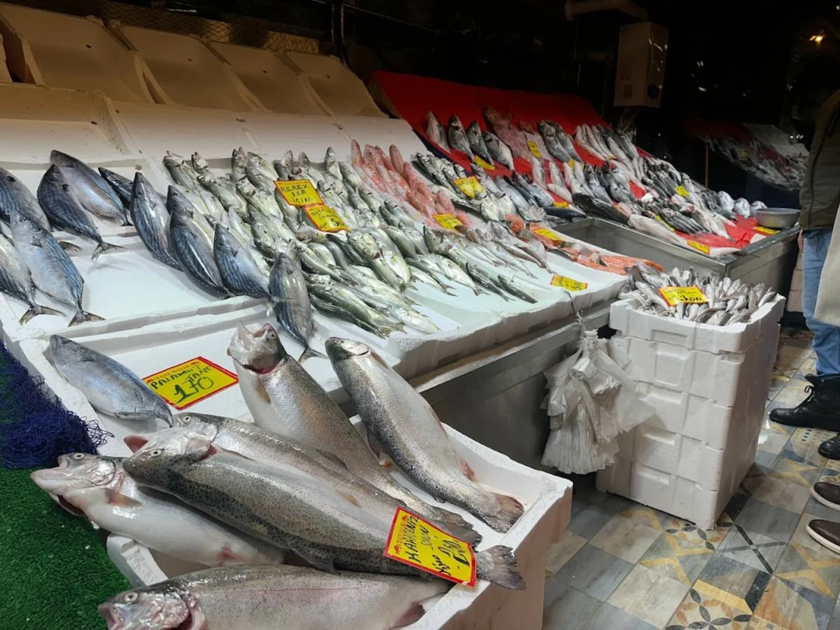 Balıkçınız Şafak Fenertepe - Görsel 2