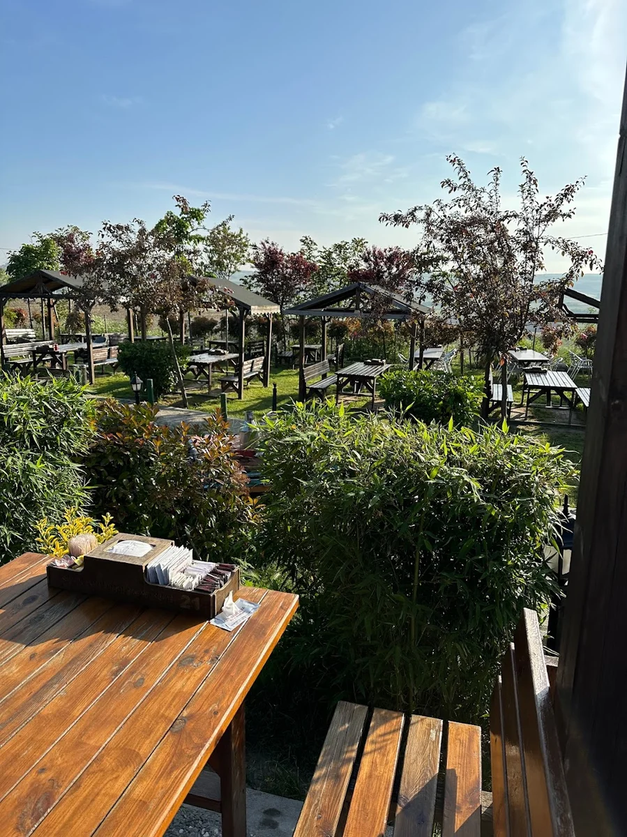 ŞEN ET MANGAL - Görsel 2