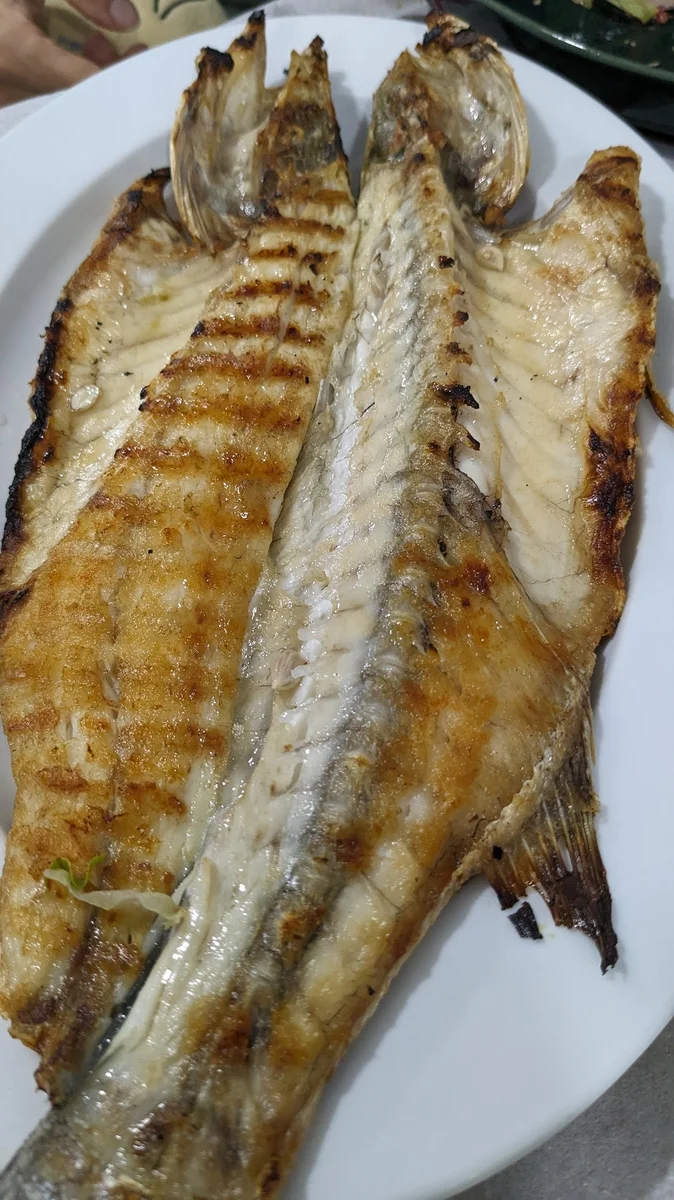 Arnavutköy Balıkçı Akman Balıkçılık & Restaurant - Görsel 9