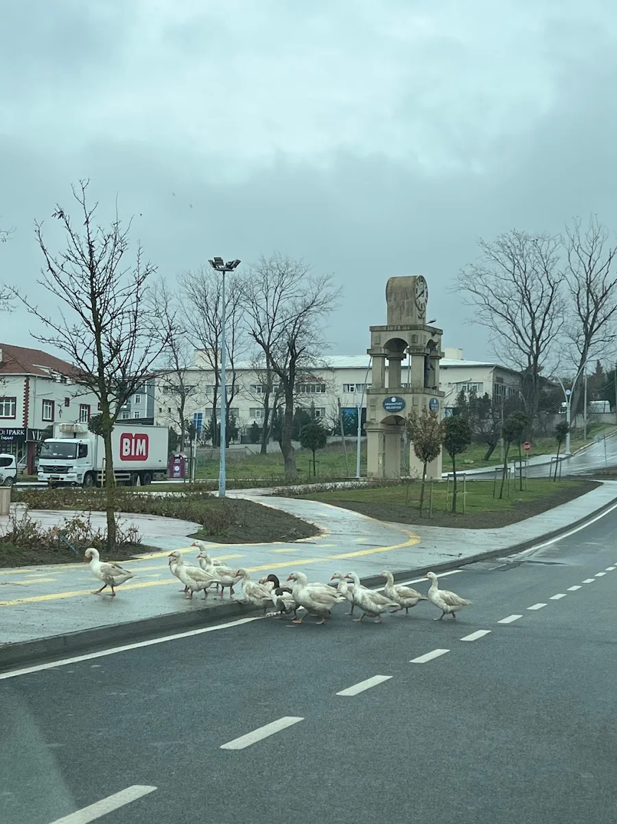 Otağ Tesisleri Cafe Restaurant - Görsel 7
