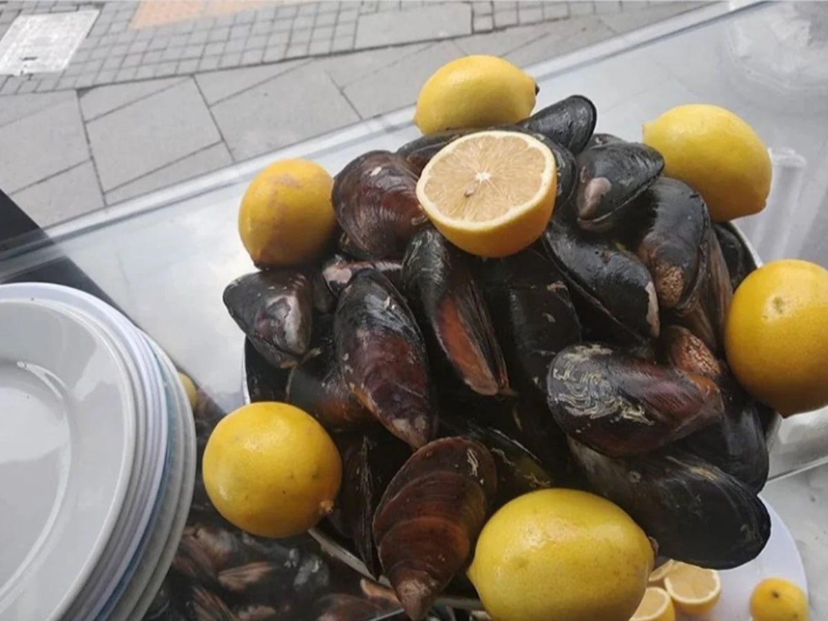 KOKOREÇÇİ METİN - Görsel 6