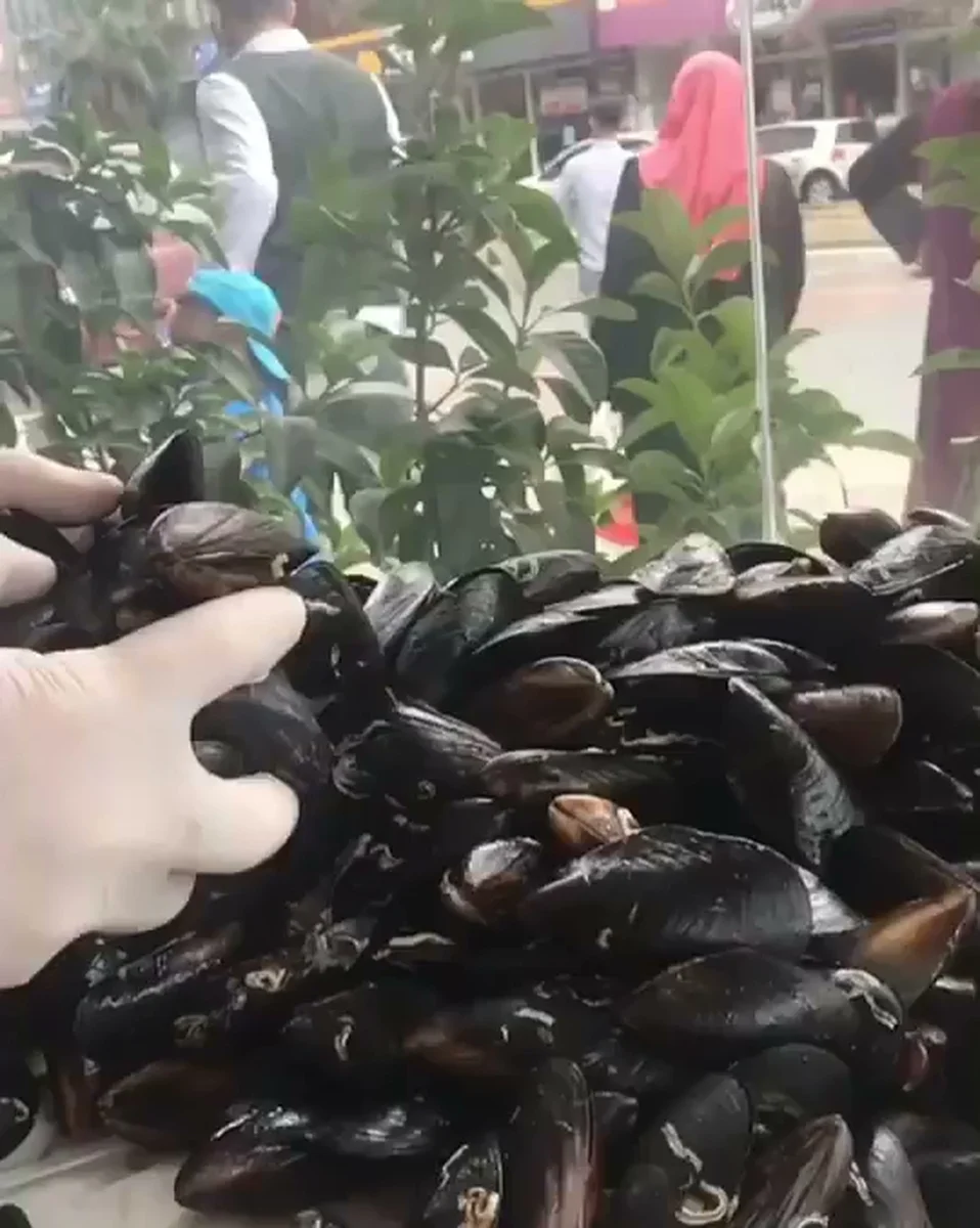 KOKOREÇÇİ METİN - Görsel 8