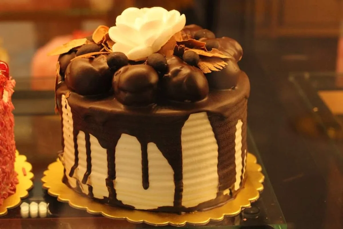 BAYKAR FIRIN - Görsel 5