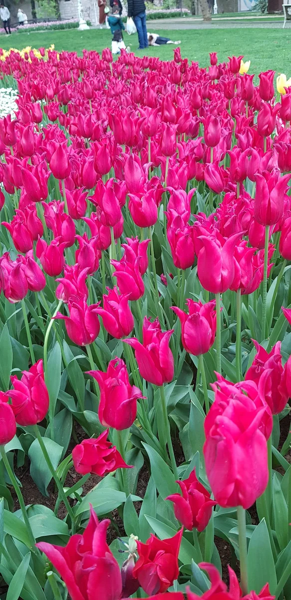 Eser ocakbası - Görsel 2