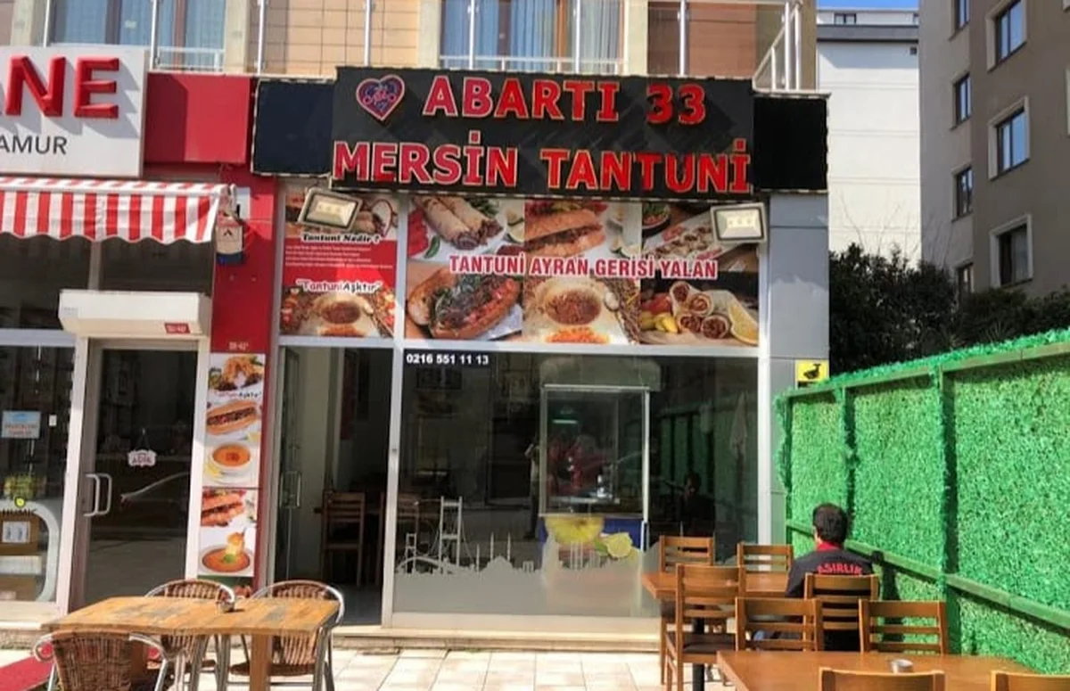 ASYA ABARTI 33 MERSİN TANTUNİ - Görsel 2
