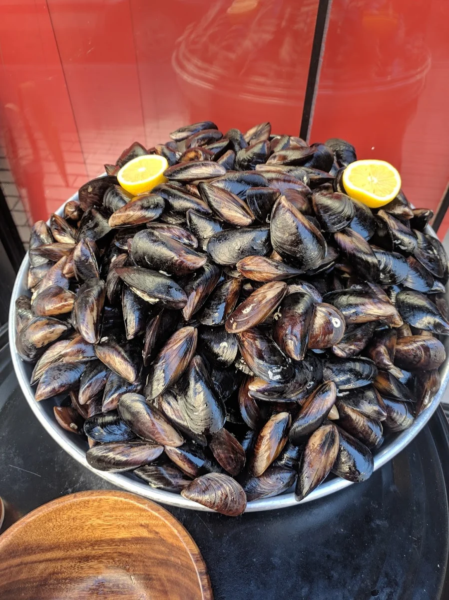 Hass Kokorech - Görsel 8