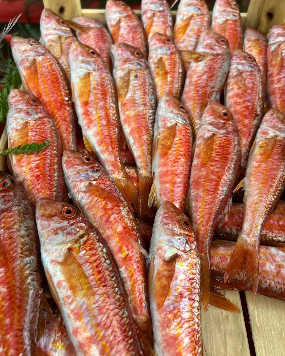 Başak Balık Başakşehir مطعم سمك - Görsel 4