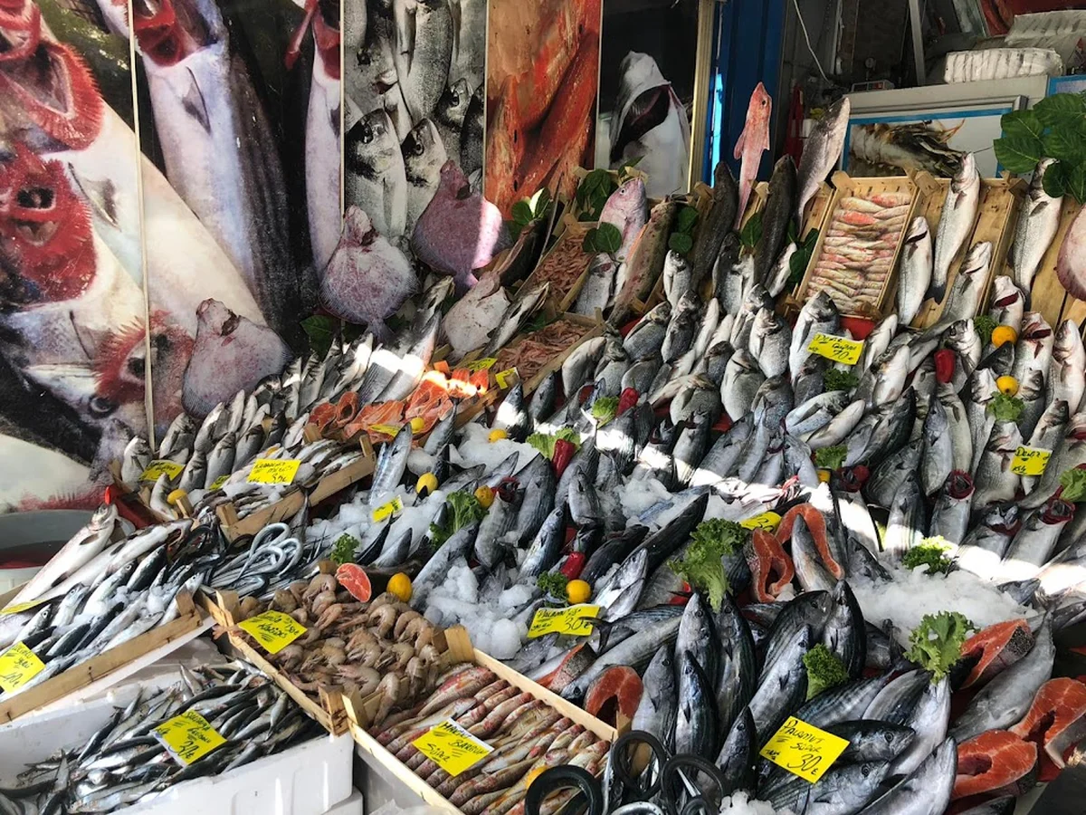 Balıkçınız Kenan demir - Görsel 2