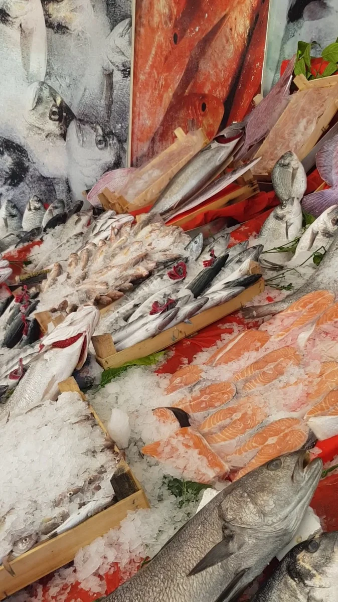 Balıkçınız Kenan demir - Görsel 7