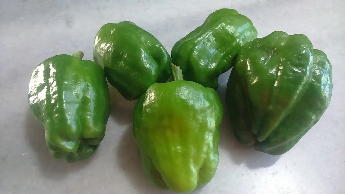 Kahta Ocakbaşı - Görsel 7