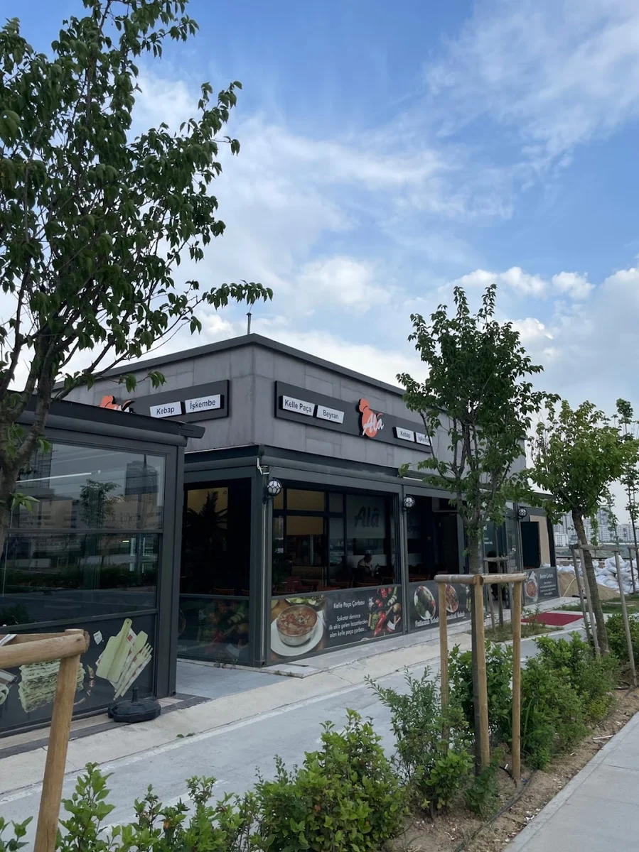 Alâ İşkembe - Görsel 1