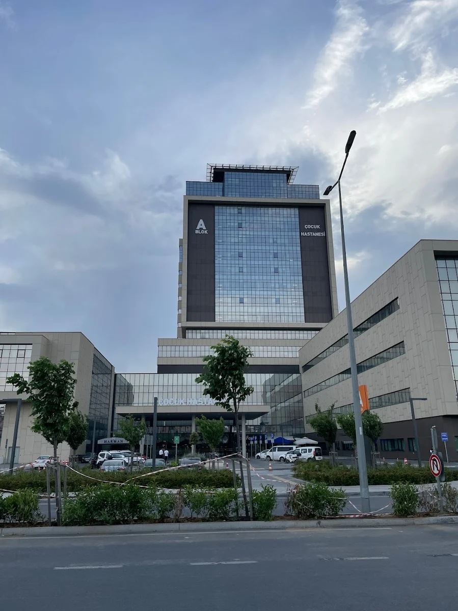 Alâ İşkembe - Görsel 4