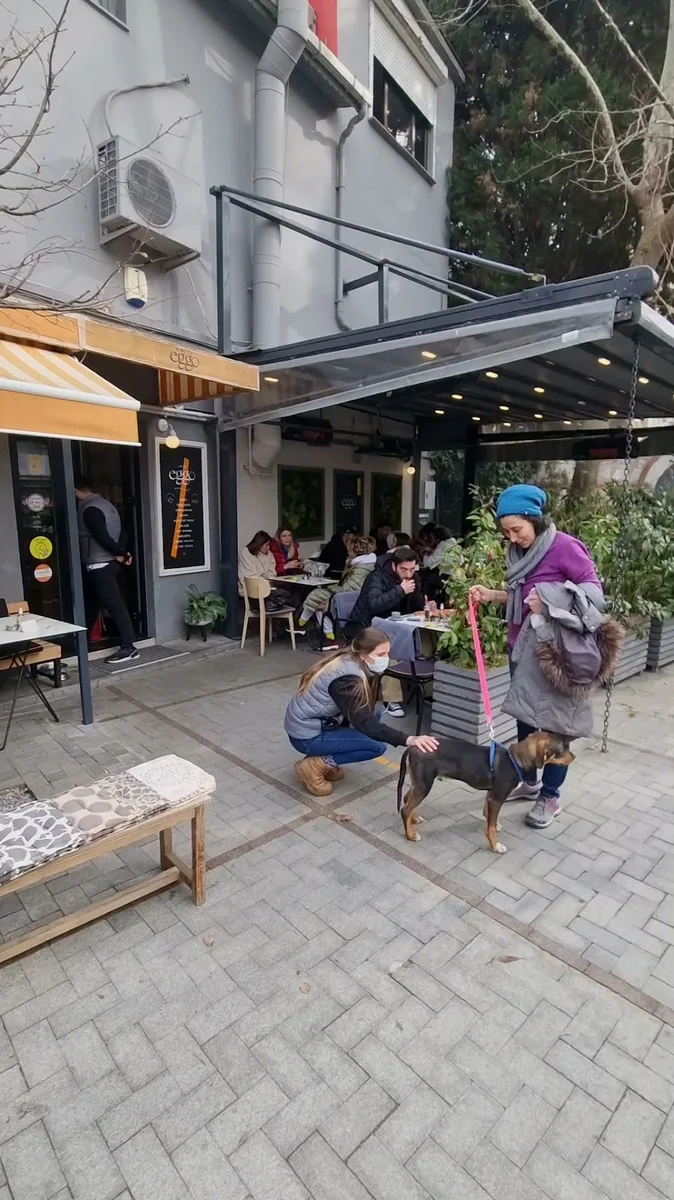 A Bit Of Eggo - Görsel 2