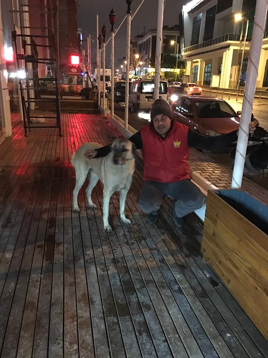 PAŞA DÖNER / İST. – ATAŞEHİR / ÖRNEK MAH - Görsel 8