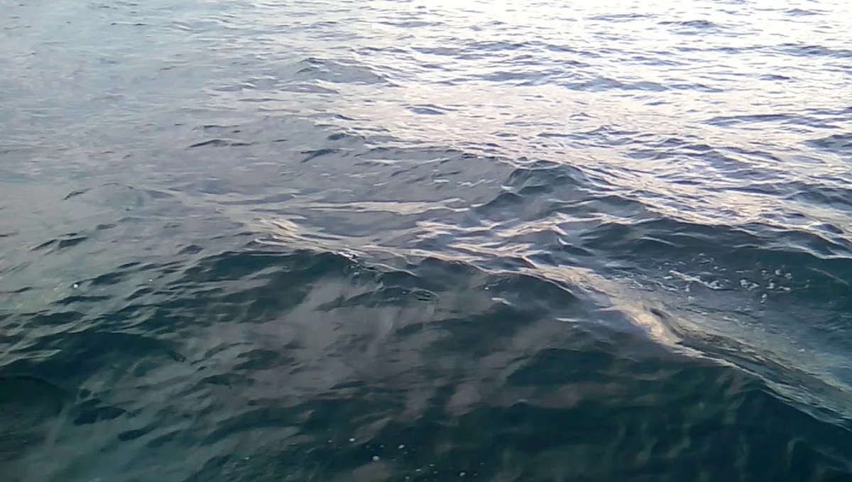 Anteplim Taş Fırın Kebap Lahmacun Pide - Görsel 1