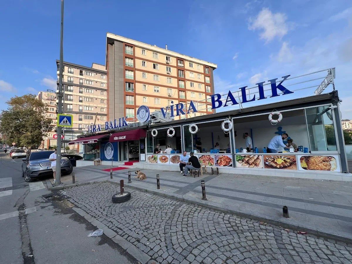 Vira Balık - Görsel 2