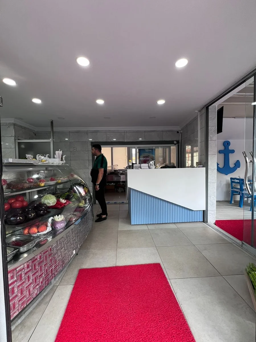 Vira Balık - Görsel 5