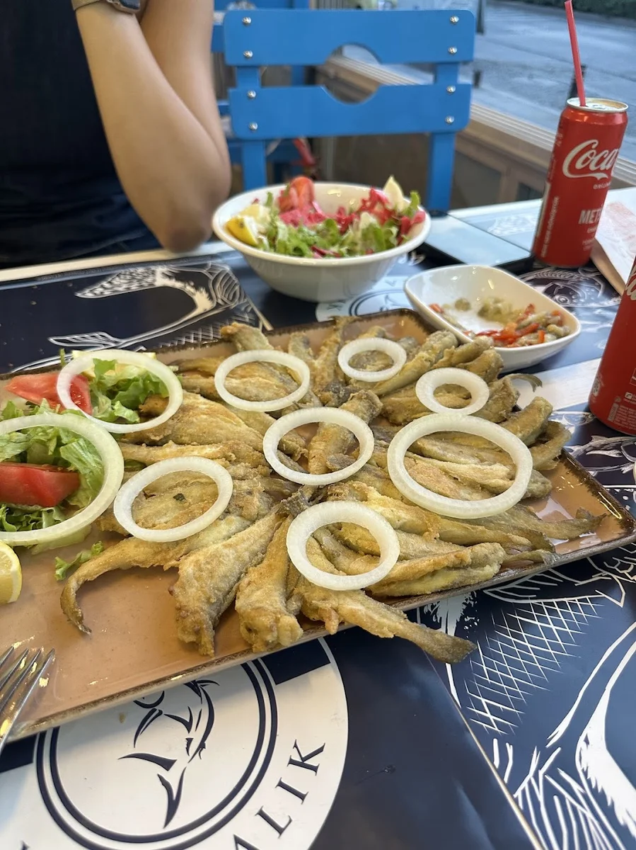 Vira Balık - Görsel 6