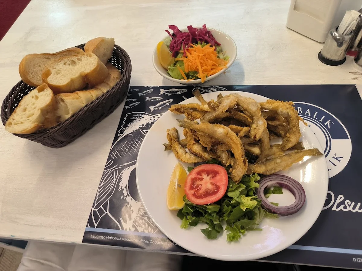 Vira Balık - Görsel 7